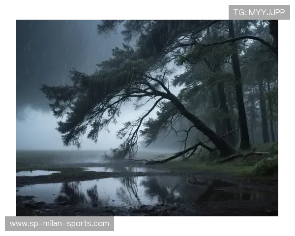 “天气考验：暴雨、雪雾的生死瞬间”，天气预报的暴雨