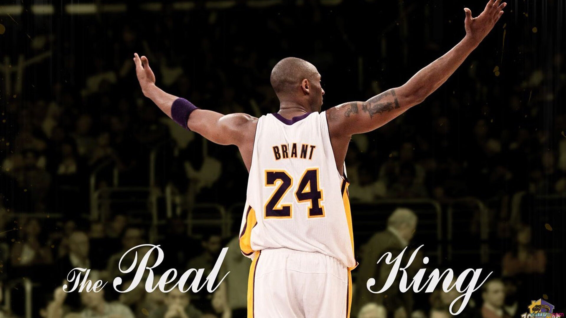 体育赛事全球关注焦点